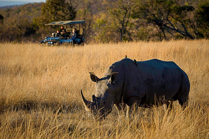 Tshwene Lodge Ваалвотер Екстер'єр фото