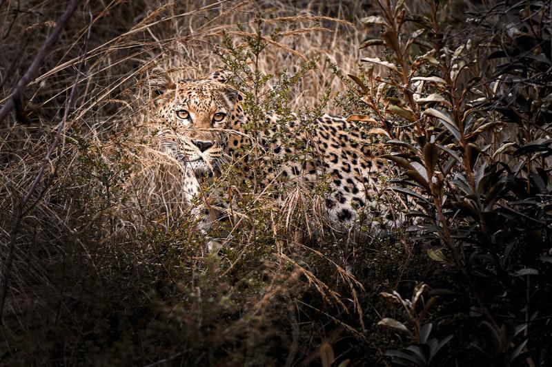 Tshwene Lodge Ваалвотер Екстер'єр фото