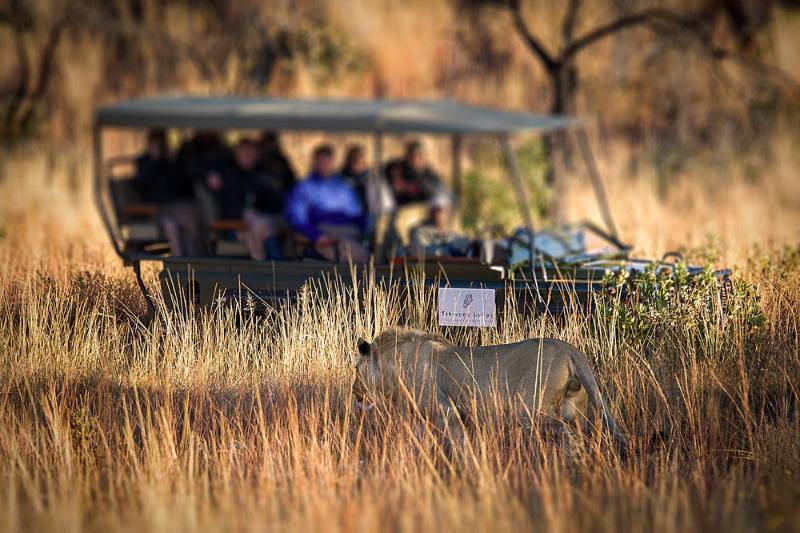 Tshwene Lodge Ваалвотер Екстер'єр фото